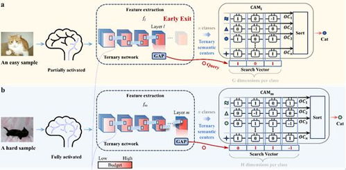 中國科學(xué)院微電子所等開發(fā)出基于語義記憶的動(dòng)態(tài)神經(jīng)網(wǎng)絡(luò)