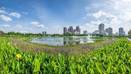 全面推進(jìn)生態(tài)治水,景觀設(shè)計(jì)師能做些什么?